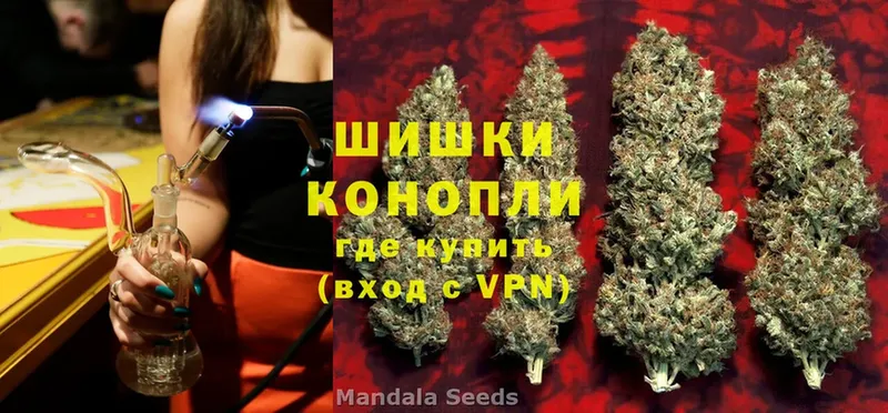 Шишки марихуана SATIVA & INDICA  Оса 